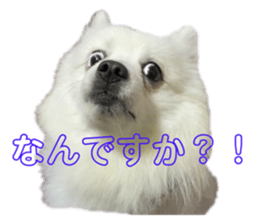 358849623