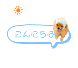 358955310