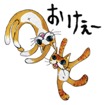 35895590