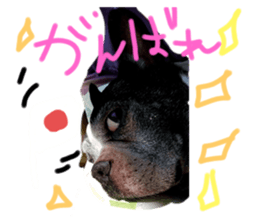 358966727