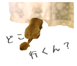 358985169