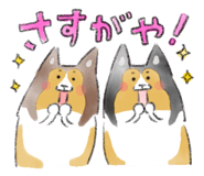 358990636