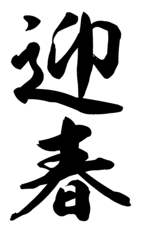 359133039
