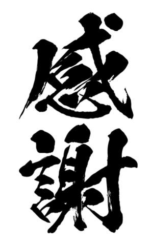 359133069