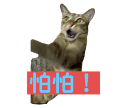 359191996