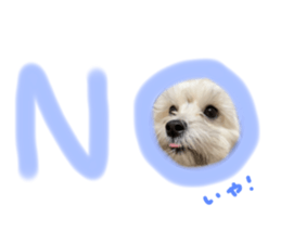 359280539