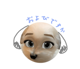 359280544