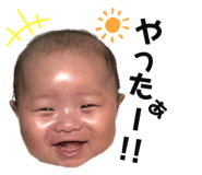 359295893