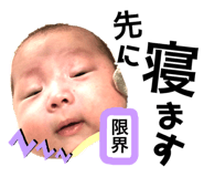 359295915