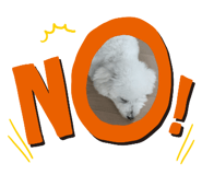 359300160