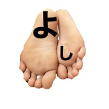 359315169