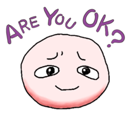 3593623