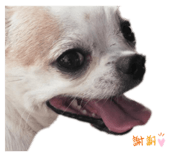 359390160