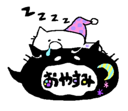 3593957