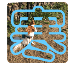 359404122