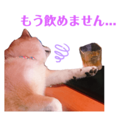 359431136
