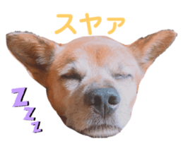 359469239