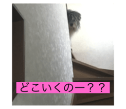 359478502