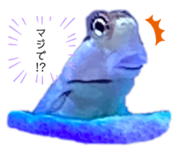 359485917