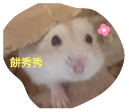 359559716