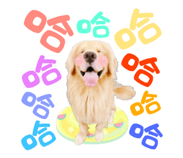 359567786