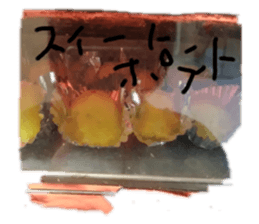 359589204