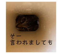 359592572