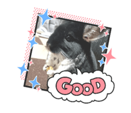 359628518