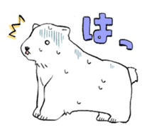 359697256