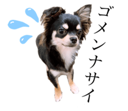359701372