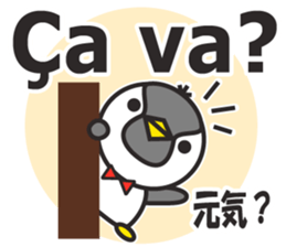 359717136