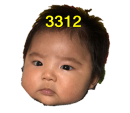 359816365