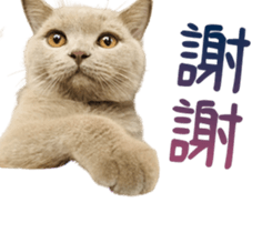 359929121
