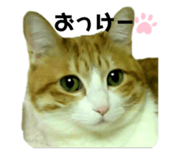 359939808