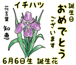 June Birth Every Birthday Flower Yabe Line貼圖代購 台灣no 1 最便宜高效率的代購網