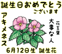 June Birth Every Birthday Flower Yabe Line貼圖代購 台灣no 1 最便宜高效率的代購網