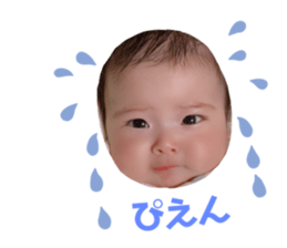 359975504