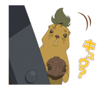359995555