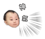 36003937
