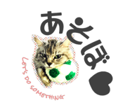 360061833