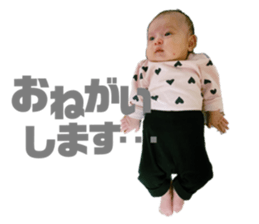 360281209