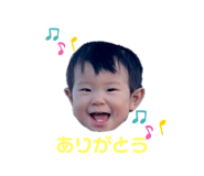 360384264