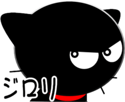 360396108