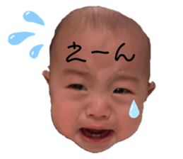 360428168