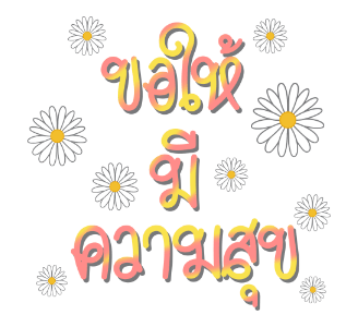 ลายที่ 13