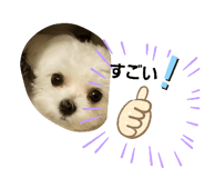 360477789