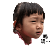 360535024