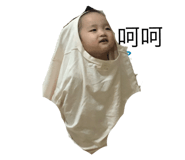 360535027