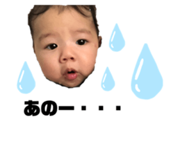360566239
