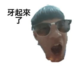 360606651